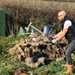 Sykes chopping wood in the garden