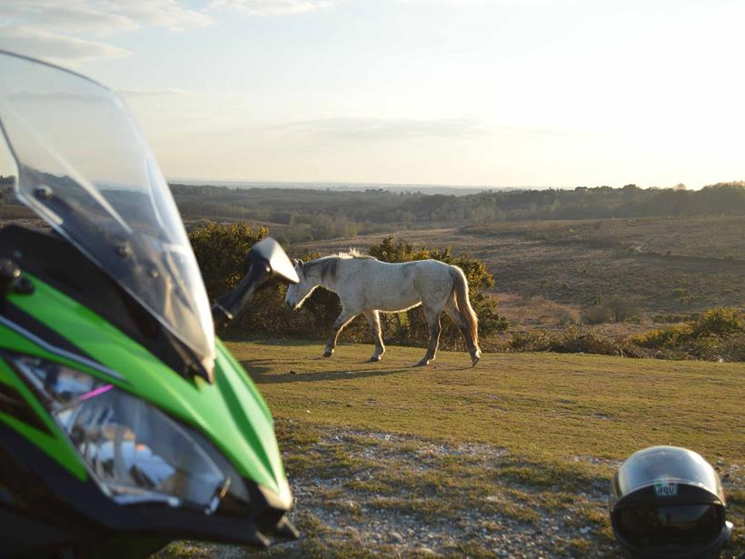 James' ride home allows him to take in the wildlife