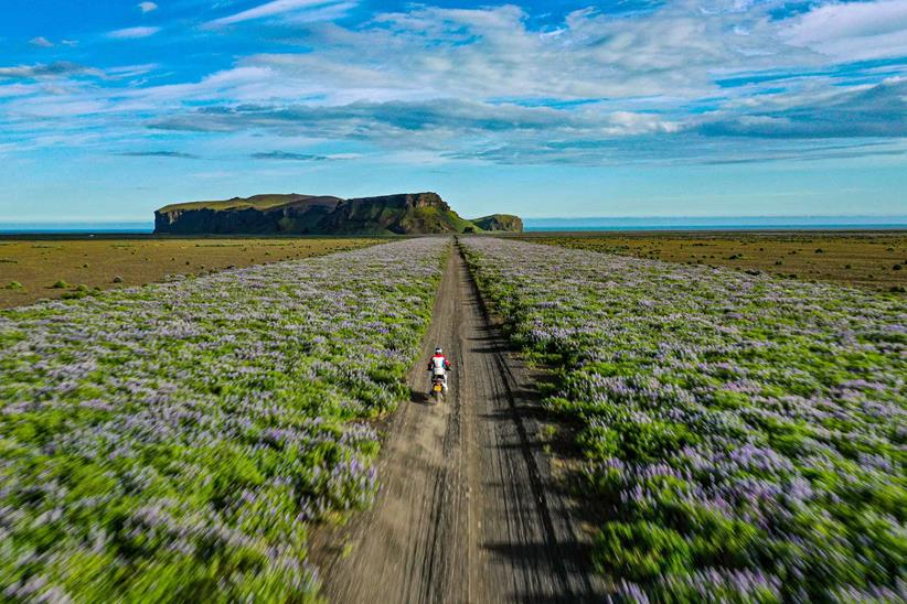 Riding a gravel trail on a Honda Africa Twin