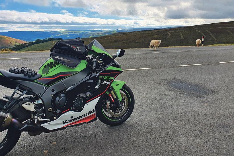 Kawasaki ZX-10R with sheep on the Snake Pass