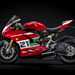 A side view of the Ducati Panigale V2 Bayliss 1st Championship 20th Anniversary edition