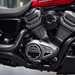 2022 Harley-Davidson Nightster V-twin engine