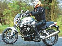The Harley rider